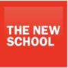 The New School Logo