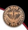 Youngstown State University Logo