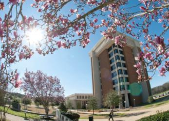 university building with blooming tree branches