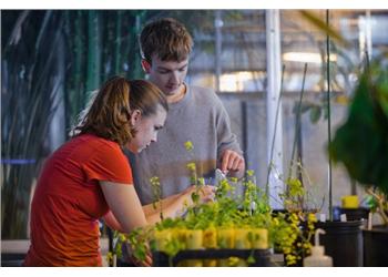 students working in a greenhouse