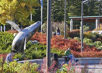 whale sculpture in campus courtyard