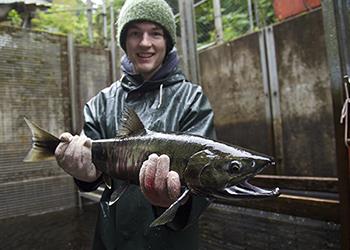 student holding a salmon in hatchery