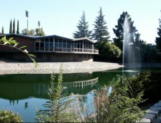 pond with fountain near a building