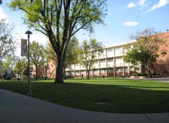 campus building with tree and lawn