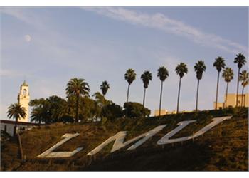 palm trees along hill with 'LMU' sign