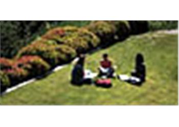 students relaxing on campus lawn