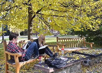 students studying on benches surrounded by fall foliage