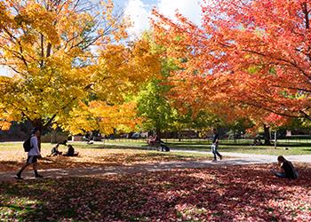 campus walkway surrounded by trees with autumn leaves