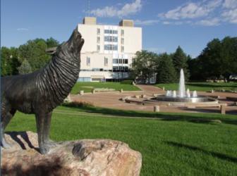 wolf statue with fountain and building behind