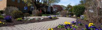 brick path through colorful flowerbeds