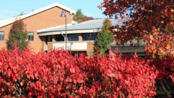 autumn leaves in front of a campus building