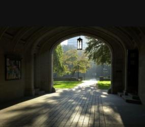 arched walkway with light and shadows