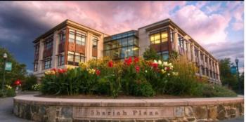 university building at dusk with flowers