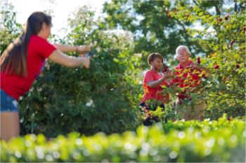 gardening activity with adults and child