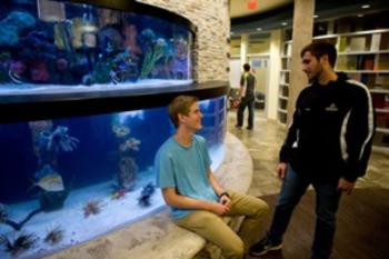 students talking by aquarium