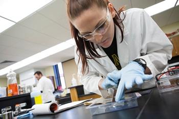 student conducting a lab experiment