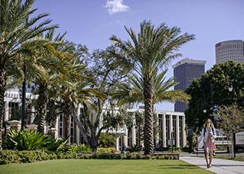 student walking in a campus with palm trees