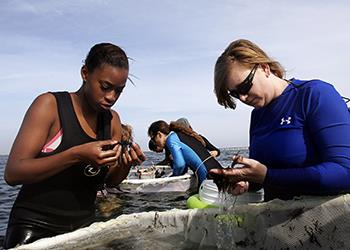 students examining marine life on a boat