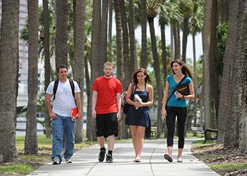 students walking through a palm tree park