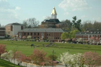 university campus with students and blossoming trees