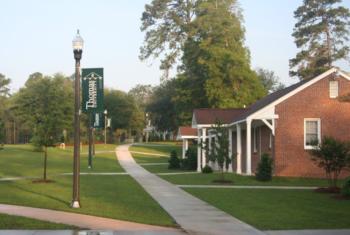 tree-lined walkway with lamppost and building