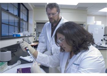 two people in lab coats working at a bench