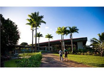 walkway with palm trees leading to a building