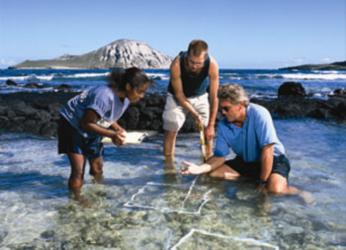 marine science field study, near ocean