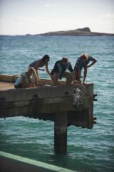 students on pier, ocean exploration