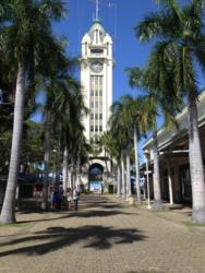 clock tower amid palm trees