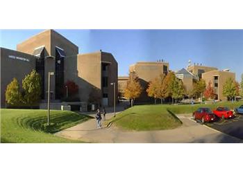 brick building with 'central library' sign, trees, cars, and people