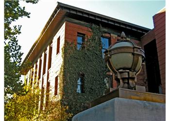 ivy-covered building with lamppost