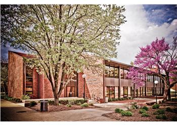 tree-lined walkway near buildings