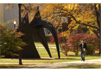 campus walkway with sculpture and autumn leaves