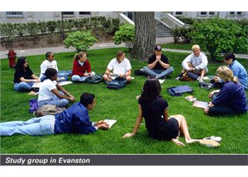 students sitting on grass in a study group