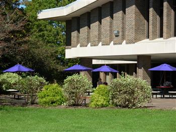 outdoor seating area with purple umbrellas