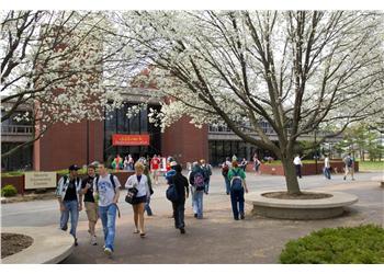 students near campus entrance with blooming tree