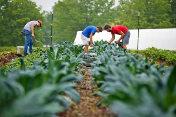students tending to garden on campus