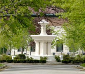 white gazebo surrounded by greenery