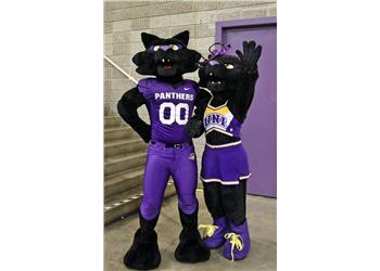 two mascot figures in panther costumes