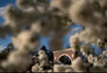 arched entrance with 'bellarmine university' framed by blurry foliage