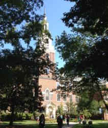 tower peering through trees with people walking below