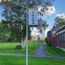 yellow banner with 'learn' on a pole beside campus walkway