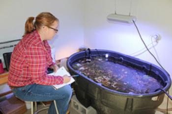 student examining coral in an indoor water tank