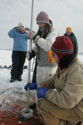 students extracting ice core samples outdoors