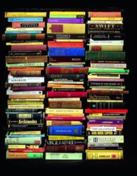 stacks of various colorful books on shelves