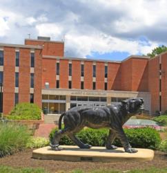 statue of a tiger in front of a brick building with greenery