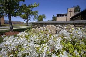 flowering shrubs in front of campus building