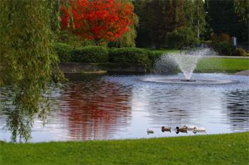 pathway leading to pond with a fountain