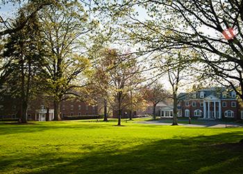 sunny campus quad with trees and building